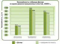 Семена кукурузы Долар