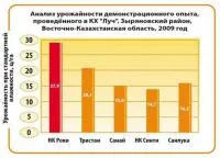 Семена подсолнечника НК Роки