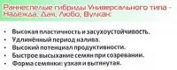 Семена подсолнечника Надежда, раннеспелый универсальный гибрид