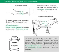 Цефтонит Форте 100 мл