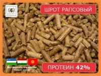 Шрот рапсовый с поставкой в Узбекистан (42% протеин на АСВ)